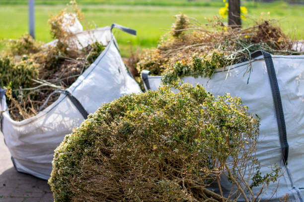 Best Dumpster Rental Services  in San Pablo, CA